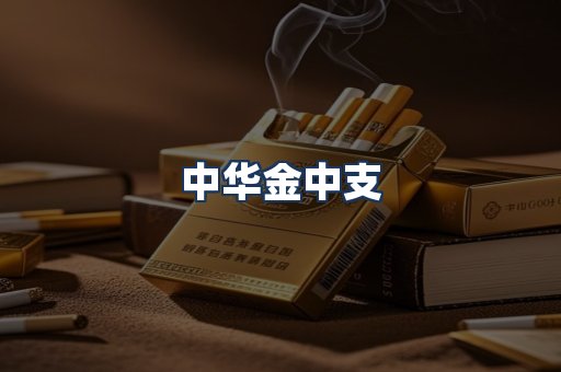 中华金中支